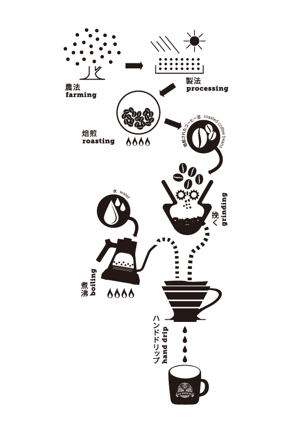 Coffee Brewing Process illustration